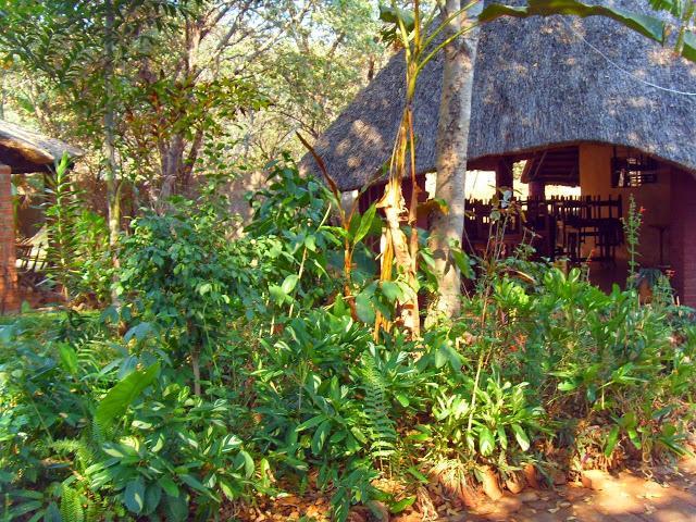 Mosi-Ua-Tunya Lodge Victoria Falls Exterior foto